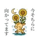 ねっ娘②【夏】……………………,…..（個別スタンプ：13）