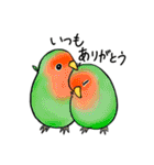 とりっこ日和♪仲間たち（個別スタンプ：4）