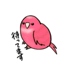 とりっこ日和♪仲間たち（個別スタンプ：11）