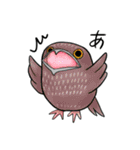 とりっこ日和♪仲間たち（個別スタンプ：16）