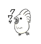 とりっこ日和♪仲間たち（個別スタンプ：19）