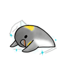 とりっこ日和♪仲間たち（個別スタンプ：29）