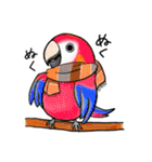 とりっこ日和♪仲間たち（個別スタンプ：30）