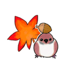 とりっこ日和♪仲間たち（個別スタンプ：33）