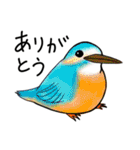 とりっこ日和♪仲間たち（個別スタンプ：37）