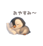 こぐぐペンギン（個別スタンプ：8）