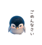 こぐぐペンギン（個別スタンプ：15）