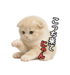 日常会話？verスコティシュフォールド（個別スタンプ：2）