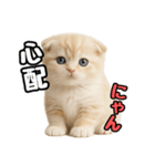 日常会話？verスコティシュフォールド（個別スタンプ：22）