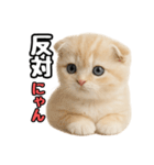 日常会話？verスコティシュフォールド（個別スタンプ：23）