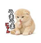 日常会話？verスコティシュフォールド（個別スタンプ：26）