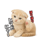 日常会話？verスコティシュフォールド（個別スタンプ：27）