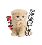 日常会話？verスコティシュフォールド（個別スタンプ：32）