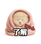 日常会話？verスコティシュフォールド（個別スタンプ：37）