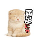 日常会話？verスコティシュフォールド（個別スタンプ：40）
