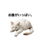 ねこたちの日常！（個別スタンプ：6）