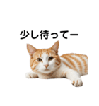 ねこたちの日常！（個別スタンプ：16）