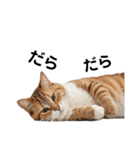 ねこたちの日常！（個別スタンプ：25）