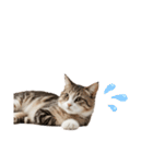 ねこたちの日常！（個別スタンプ：40）