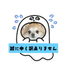 キララの世界（ロングコートチワワ）（個別スタンプ：8）