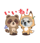 キララの世界（ロングコートチワワ）（個別スタンプ：19）