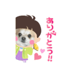 キララの世界（ロングコートチワワ）（個別スタンプ：22）