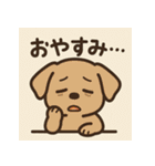 森の仲間たちのゆるっと毎日（個別スタンプ：37）
