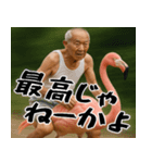 褒め上手フラミンGOじじぃが褒めるスタンプ（個別スタンプ：13）