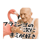 褒め上手フラミンGOじじぃが褒めるスタンプ（個別スタンプ：22）