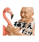 褒め上手フラミンGOじじぃが褒めるスタンプ（個別スタンプ：35）