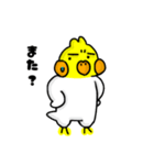 オカメのポポチ9（個別スタンプ：11）