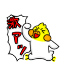 オカメのポポチ9（個別スタンプ：37）