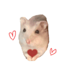 Hamster！kawaii（個別スタンプ：1）