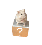 Hamster！kawaii（個別スタンプ：9）
