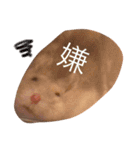 Hamster！kawaii（個別スタンプ：12）