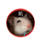Hamster！kawaii（個別スタンプ：13）