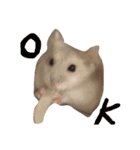 Hamster！kawaii（個別スタンプ：14）