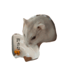 Hamster！kawaii（個別スタンプ：15）