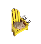 Hamster！kawaii（個別スタンプ：18）