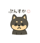 黒豆柴のカフェタイム【犬の日常会話】（個別スタンプ：6）