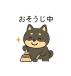 黒豆柴のカフェタイム【犬の日常会話】（個別スタンプ：13）