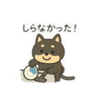 黒豆柴のカフェタイム【犬の日常会話】（個別スタンプ：17）