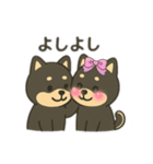 黒豆柴のカフェタイム【犬の日常会話】（個別スタンプ：20）