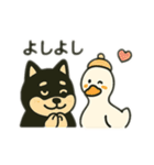 うるせえーアヒルVSやさしい黒柴のカップル（個別スタンプ：10）