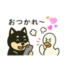 うるせえーアヒルVSやさしい黒柴のカップル（個別スタンプ：14）