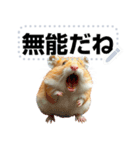 面白いハムスター【ハムスターミーム】（個別スタンプ：10）