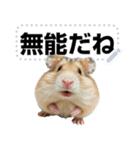 面白いハムスター【ハムスターミーム】（個別スタンプ：13）