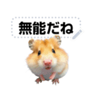 面白いハムスター【ハムスターミーム】（個別スタンプ：16）