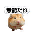 面白いハムスター【ハムスターミーム】（個別スタンプ：20）
