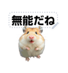 面白いハムスター【ハムスターミーム】（個別スタンプ：23）